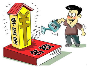 幸福湾 “教育+房产”双核驱动，房产咨询不容错过的理想选择